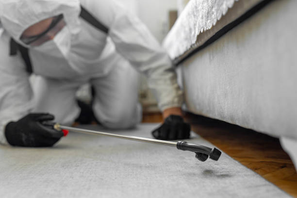 Professional Ant Control technician working in Brown County County, MN